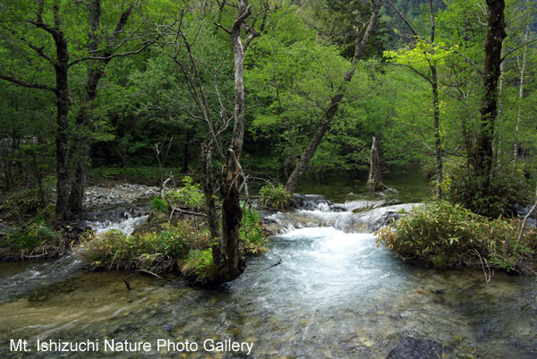 kamikochi (07)